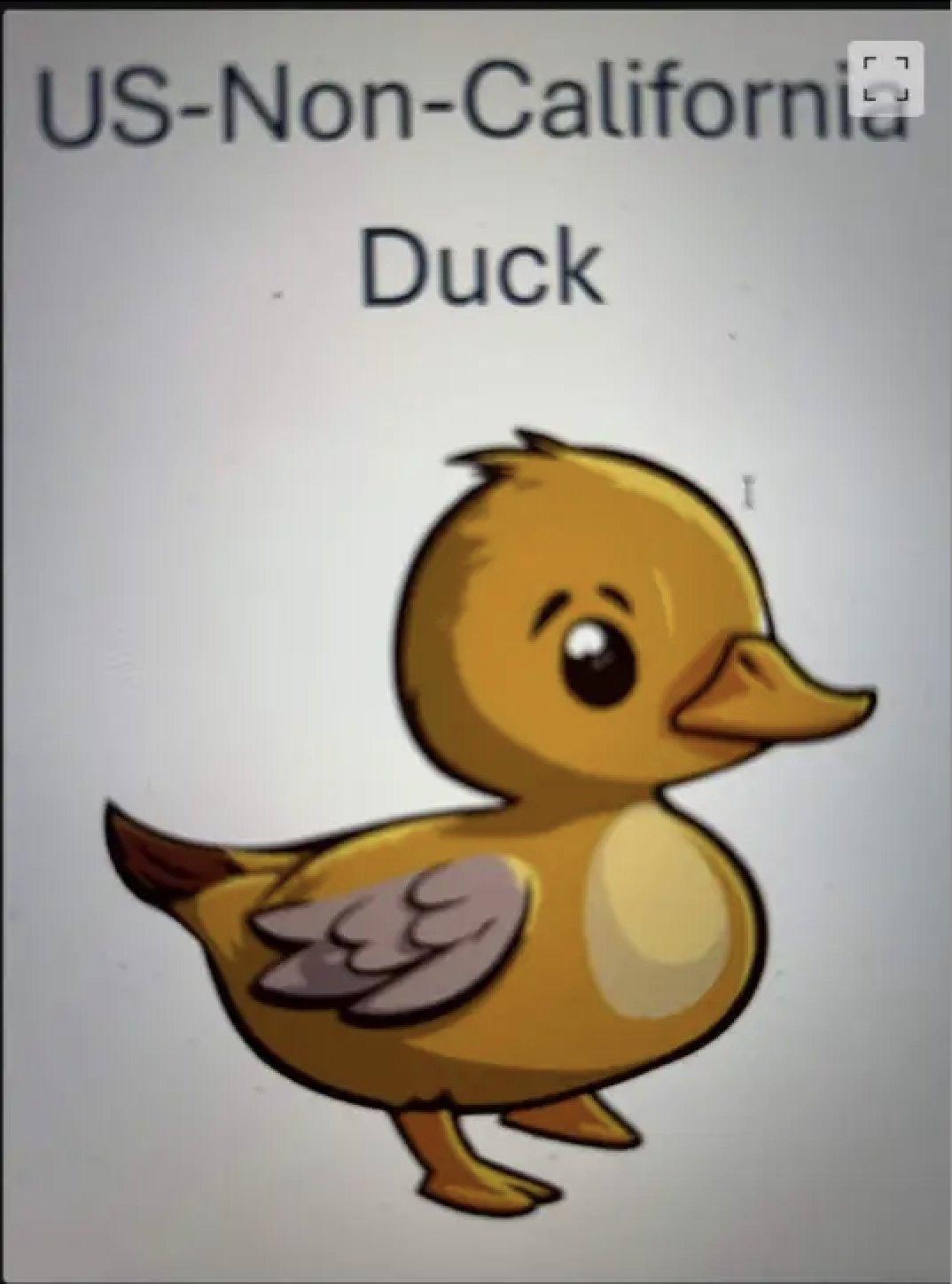 Stripe accidentally sent a picture of a duck to employees being laid off.